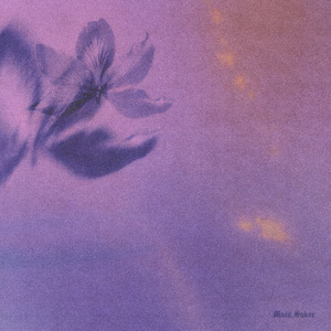 一级黄色无吗片
